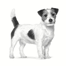 ROYAL CANIN Gastrointestinal Low Fat Small VHN - dry dog food - 1,5kg ROYAL CANIN Gastrointestinal Low Fat Small VHN - dry dog food - 1,5kg