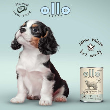OLLO šuniukų umami jautienos ir žaliųjų skrandžių su ančių kepenėlėmis - šlapias šunų ėdalas - 400 g OLLO šuniukų umami jautienos ir žaliųjų skrandžių su ančių kepenėlėmis - šlapias šunų ėdalas - 400 g