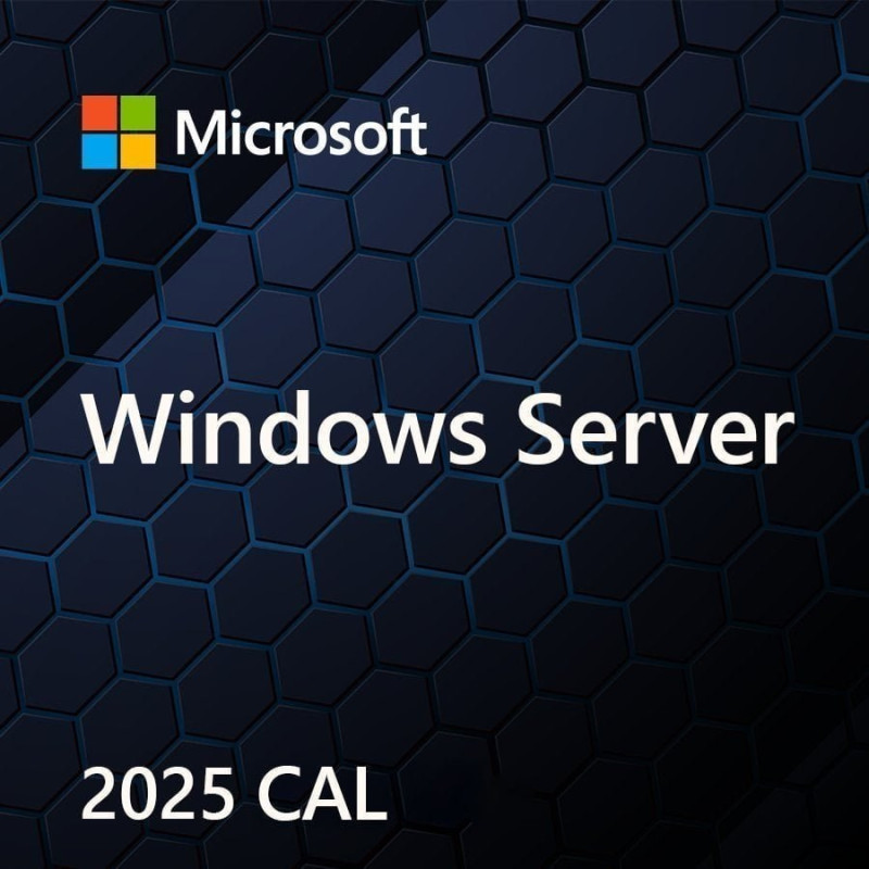 MS Windows Svr CAL 2025 PL 5Clt įrenginio CAL OEM