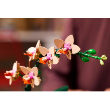 LEGO ICONS 10343 Botanikos kolekcija – Mini orchidėja