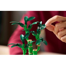 LEGO ICONS 10344 Botanikos kolekcija – Laimingas bambukas