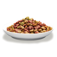 PREVITAL kačių ėdalas suaugusioms katėms su vištiena - sausas kačių ėdalas - 1,4 kg PREVITAL kačių ėdalas suaugusioms katėms su vištiena - sausas kačių ėdalas - 1,4 kg