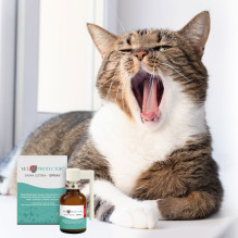 JM SANTE Vet Protector Oral cavity spray - liquid for the oral cavity for dogs and cats - 30 ml