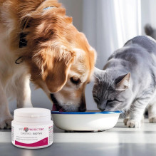JM SANTE Vet Protector Gastro - Biotyk - multibiotikas šunims ir katėms - 60 g JM SANTE Vet Protector Gastro - Biotyk - multibiotikas šunims ir katėms - 60 g