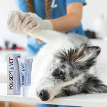 JM SANTE Polisept Vet žaizdų gelis Silver Pro - gelinis tvarstis šunims ir katėms - 30 ml