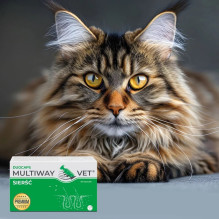 JM SANTE Multiway Vet Duocaps - twist-off capsules for coat and skin for dogs and cats - 60 pcs