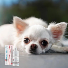 JM SANTE Vet Protector Ligo - akių lašai šunims ir katėms - 3 ml