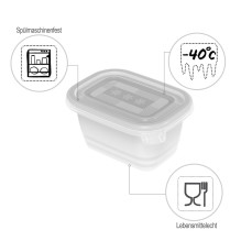 ROTHO Freeze - freezer container - 6x250ml ROTHO Freeze - freezer container - 6x250ml