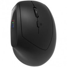 Canyon MW-25 Ergonomic Dual mode Wireless Black CNS-CMSW25