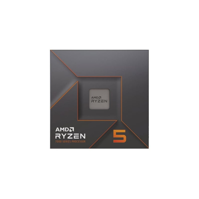 AMD Ryzen 5 7600X 100-100000593WOF dėžutė