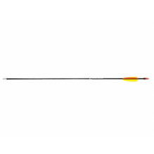 Poe Lang 28' fibreglass arrows - set of 5 (D-055-B3) Poe Lang 28' fibreglass arrows - set of 5 (D-055-B3)