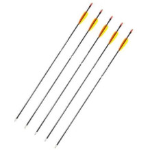 Poe Lang 28' fibreglass arrows - set of 5 (D-055-B3) Poe Lang 28' fibreglass arrows - set of 5 (D-055-B3)