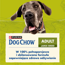 Purina DOG CHOW didelių veislių suaugusių šunų sausas maistas kalakutienai, 14 kg