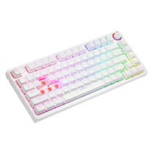SAVIO PHENIX WHITE belaidė mechaninė klaviatūra, „Gateron Red Pro“, ABS