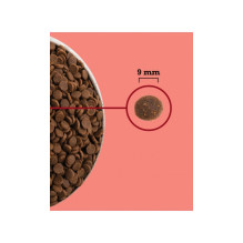 ACANA Highest Protein Indoor Cat - sausas kačių ėdalas - 4,5 kg ACANA Highest Protein Indoor Cat - sausas kačių ėdalas - 4,5 kg