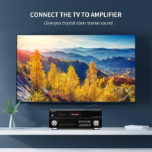 Ugreen 10518 2RCA (Cinch) į 2RCA (Cinch) 2m juodas Ugreen 10518 2RCA (Cinch) į 2RCA (Cinch) 2m juodas