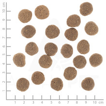 WOLFSBLUT VetLine Weight Management Turkey - dry dog food - 12kg WOLFSBLUT VetLine Weight Management Turkey - dry dog food - 12kg