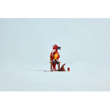 LEGO HARRY POTTER 76448 Fawkes: Dumbldoro feniksas