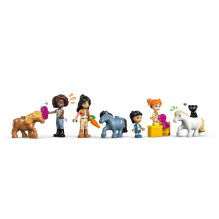 LEGO FRIENDS 42654 Ponių ranča ir arklidė LEGO FRIENDS 42654 Ponių ranča ir arklidė