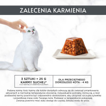 PURINA Gourmet Revelations Chunks drebučiuose su lašiša - šlapias kačių ėdalas - 2 x 57 g
