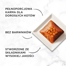 PURINA Gourmet Revelations Chunks drebučiuose su vištiena - šlapias kačių ėdalas - 2 x 57 g PURINA Gourmet Revelations Chunks drebučiuose su vištiena - šlapias kačių ėdalas - 2 x 57 g