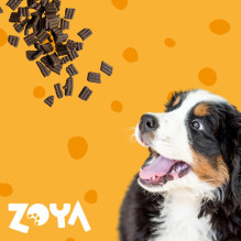 ZOYA ColdPRO Lamb - dry dog food - 3kg ZOYA ColdPRO Lamb - dry dog food - 3kg