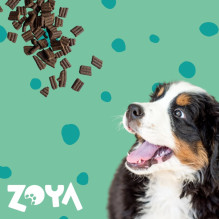 ZOYA ColdPRO Deer - dry dog food - 9kg ZOYA ColdPRO Deer - dry dog food - 9kg