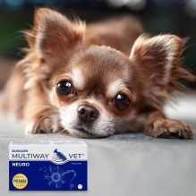 JM SANTE Multiway Vet Duocaps Neuro - twist-off capsules supporting the nervous system for dog and cat - 60pcs JM SANTE Multiway Vet Duocaps Neuro - twist-off capsules supporting the nervous system for dog and cat - 60pcs