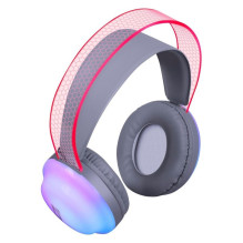 AUSINĖS DEFENDER BLUETOOTH FREEMOTION B651 AUSINĖS DEFENDER BLUETOOTH FREEMOTION B651