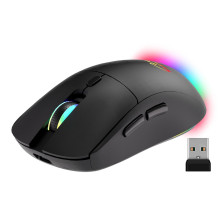 Wireless 2-in-1 Mouse (BT /...