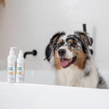 VETEXPERT Clinic Care Hypo & Omega - shampoo for dogs and cats - 250 ml VETEXPERT Clinic Care Hypo & Omega - shampoo for dogs and cats - 250 ml