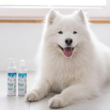 VETEXPERT Detox Care Pure White Conditioner - conditioner for dogs and cats - 150 ml VETEXPERT Detox Care Pure White Conditioner - conditioner for dogs and cats - 150 ml