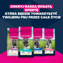 EUKANUBA Premium nutrition mature Small breed Chicken - dry dog food - 3kg EUKANUBA Premium nutrition mature Small breed Chicken - dry dog food - 3kg
