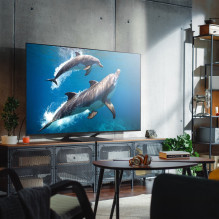 LG QNED evo AI 55QNED93A6A 139,7 cm (55 ') 4K Ultra HD Smart TV Wi-Fi Juoda