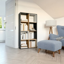 Topeshop MALAX 2X4 ANT / ART living room bookcase