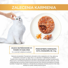 PURINA Gourmet Gold pikantiškas sausainis – šlapias kačių ėdalas – 48 x 85 g