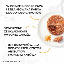 PURINA Gourmet Gold pikantiškas sausainis – šlapias kačių ėdalas – 48 x 85 g