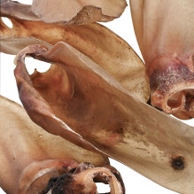 PETITTO jautienos ausis su kremzle - šunų skanėstas - 10 PETITTO jautienos ausis su kremzle - šunų skanėstas - 10