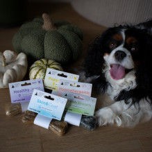 PAKA ZWIERZAKA Pepe Vet Healthy Joints - skanėstas šunims - 13,5cm PAKA ZWIERZAKA Pepe Vet Healthy Joints - skanėstas šunims - 13,5cm