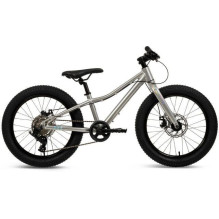 Huffy MTB Batch Alu 20" bike, silver (B374555W)