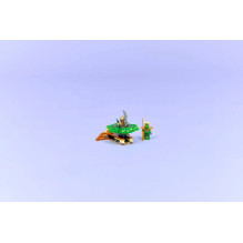 LEGO NINJAGO 71850 Lloyd prieš Elementų Pabaisos Suktukas