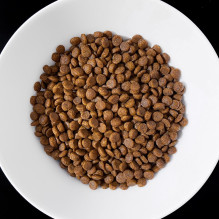 VET RESPONSE Gastrointestinal - sausas kačių ėdalas - 1,6 kg
