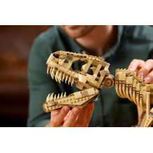 LEGO JURASSIC WORLD 76968 Dinozauro fosilijos: Tyrannosaurus rex