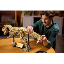 LEGO JURASSIC WORLD 76968 Dinozauro fosilijos: Tyrannosaurus rex