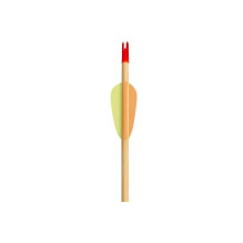 Poe Lang Target Wooden 30" D-027A-B1 Wooden arrows 5 pcs Poe Lang Target Wooden 30" D-027A-B1 Wooden arrows 5 pcs
