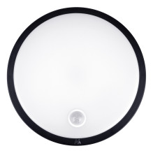 „Maclean“ LED šviestuvas su judesio jutikliu, PIR jutikliu, juodas, 10 W, IP65, 1000 lm, neutrali spalva, MCE525 B