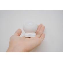 Imou ZP1 Infrared sensor Wired Wall White Imou ZP1 Infrared sensor Wired Wall White