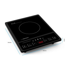 Esperanza EKH011 Black induction cooker