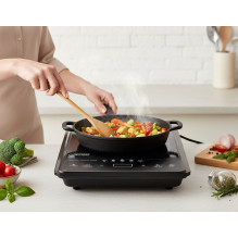Esperanza EKH011 Black induction cooker