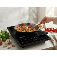 Esperanza EKH011 Black induction cooker